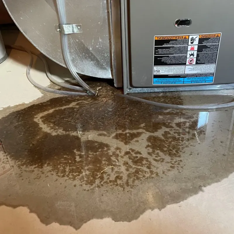 Pipe Burst and Leak Restoration in Lawrence County, KY