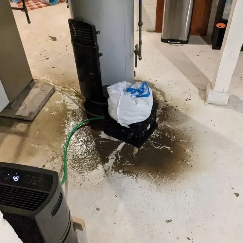 Sewage Backup Cleanup Service in Lawrence County, KY